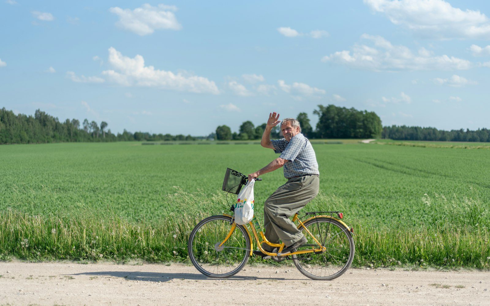 Longevity Bilimi Nedir? Uzun ve Sağlıklı Yaşamın Temelleri
